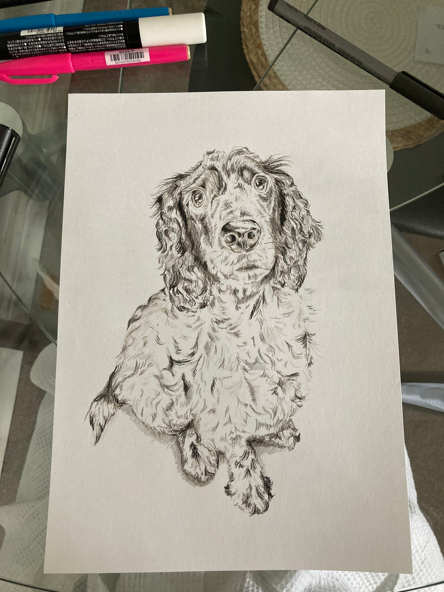 Detailed Pet Portrait