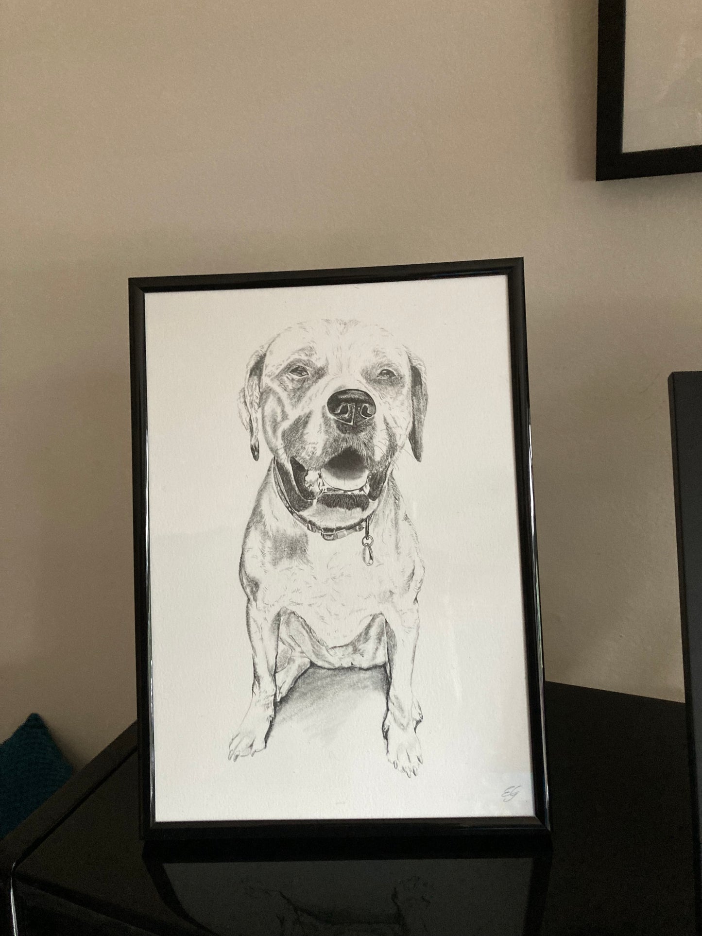 Detailed Pet Portrait